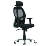 High-Back Mesh Office Chair with Adjustable Arms, Neck Support (Black) - s k modern art